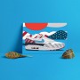 Poster Air Max 1 Parra | La Sneakerie