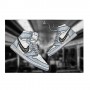 Puzzle Air Jordan 1 x Dior | La Sneakerie