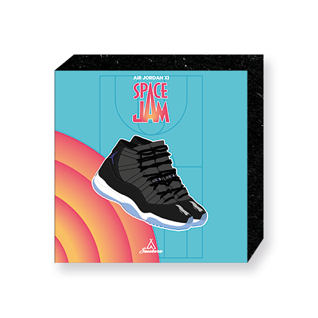 Bloc Mural Jordan Retro 11 Space Jam | La Sneakerie