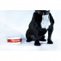 Pupreme Dog Bowl | La Sneakerie
