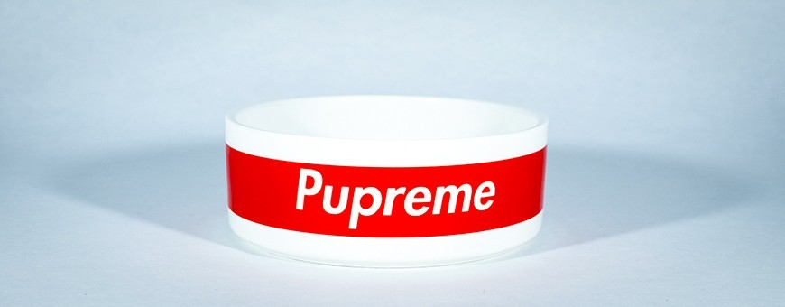 Dog Bowls for SneakerHead | La Sneakerie